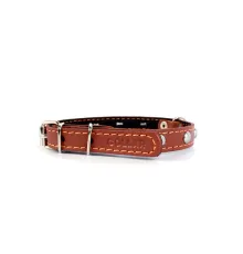 Collar с синтепоном и украшением Brown 14 мм, 27-35 см
