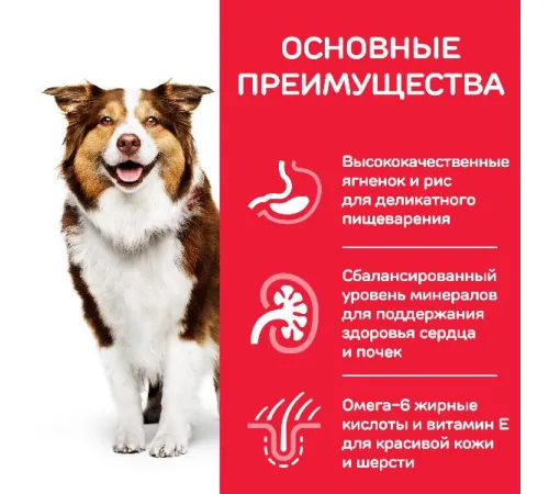 Hill's Science Plan для средних пород старше 7 лет (ягненок, рис) 2,5 кг