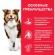 Hill's Science Plan для средних пород старше 7 лет (ягненок, рис) 2,5 кг
