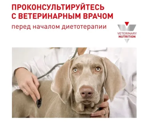 Royal Canin Neutered Adult Small Dog, 800 г