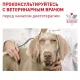 Royal Canin Neutered Adult Small Dog, 800 г