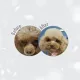 Nature's Protection GF Red Coat Junior Small (Лосось), 1,5 кг