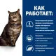 Hill's Prescription Diet k/d Early Stage Влажный корм для кошек с курицей, 85 г