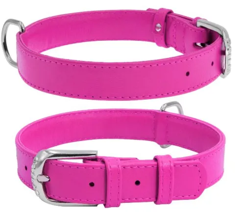 Collar Ошейник 