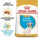 Royal Canin French Bulldog Puppy, 3 кг + EDUC в подарок