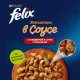 Felix Sensations для кошек (Говядина с томатами в соусе), 75 г