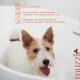 Muzzle Гель-мыло для лап, 500 мл
