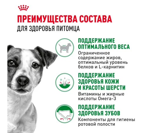 Royal Canin Mini Adult, 800 г