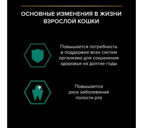 Pro Plan Adult Maintenance (Утка в соусе), 85 г