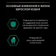 Pro Plan Adult Maintenance (Утка в соусе), 85 г