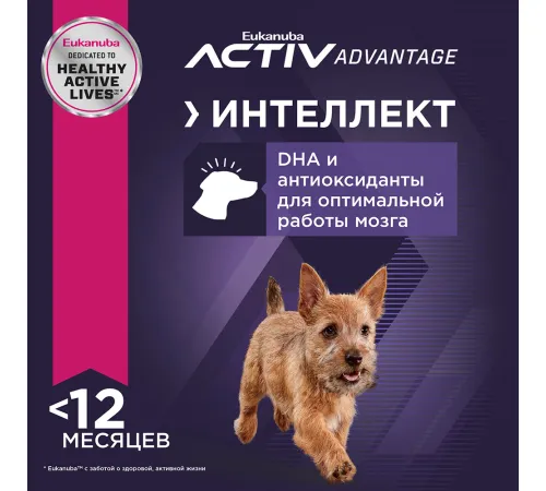 Eukanuba Puppy Small Breed (Птица), 800 г + пауч в подарок