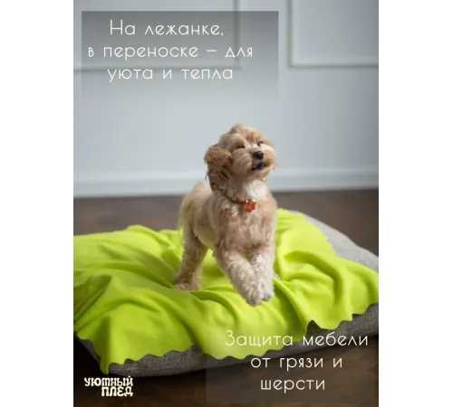 Уютный плед Плед флисовый, Лаймовый Зеленый, 60х70 см