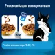 Felix Мясное объедение для взрослых кошек (Говядина), 600 г