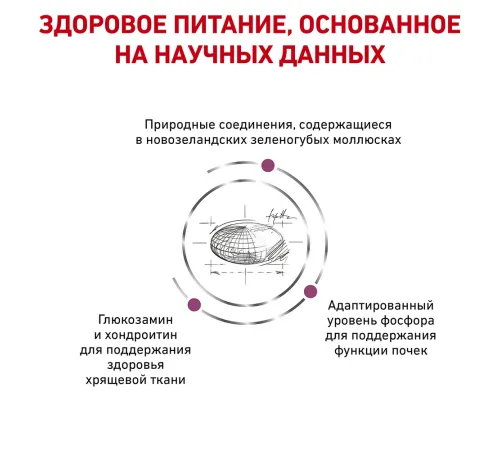 Royal Canin Mobility Cat, 400 г