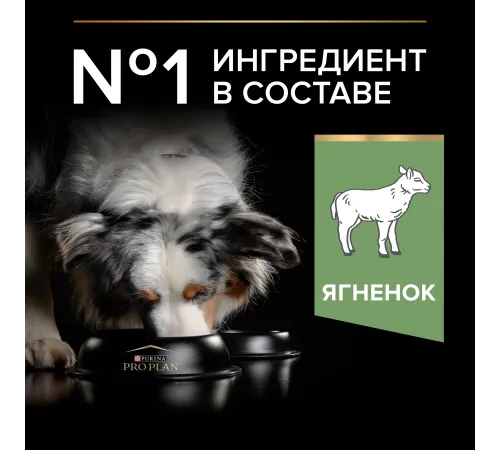 Pro Plan Medium Adult Sensitive Digestion (Ягненок), 3 кг