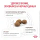 Royal Canin Gastrointestinal Dog, 2 кг