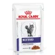 Royal Canin Neutered Adult Maintenance (соус), 85 г