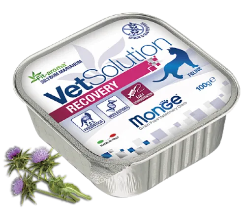 Monge Консервы VetSolution Recovery Cat (Курица, лосось), 100 г