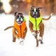 Airy Vest Курточка двухсторонняя Orange & Lime XS 25