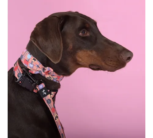 United Pets Ошейник Complete me Forever, оранжевый с рисунком, M