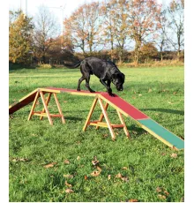 Trixie Agility Dogwalk 456x64x30 см
