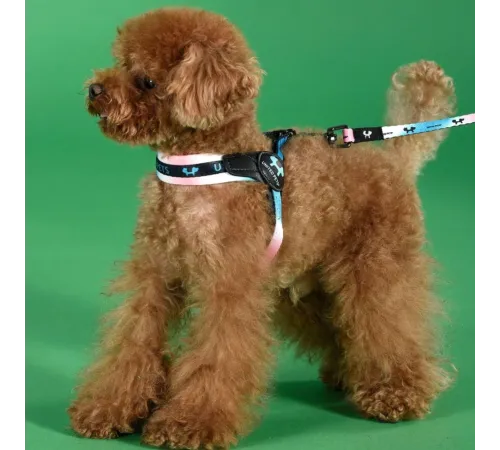 United Pets Шлейка Complete me, розово-голубой тай-дай, 1,5 x 34-42 см