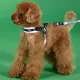 United Pets Шлейка Complete me, розово-голубой тай-дай, 1,5 x 34-42 см