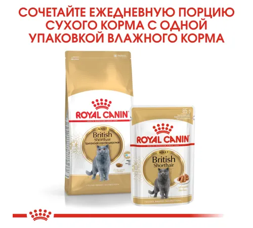 Royal Canin British Shorthair Adult (соус), 85 г 28 шт (уп)