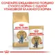 Royal Canin British Shorthair Adult (соус), 85 г 28 шт (уп)