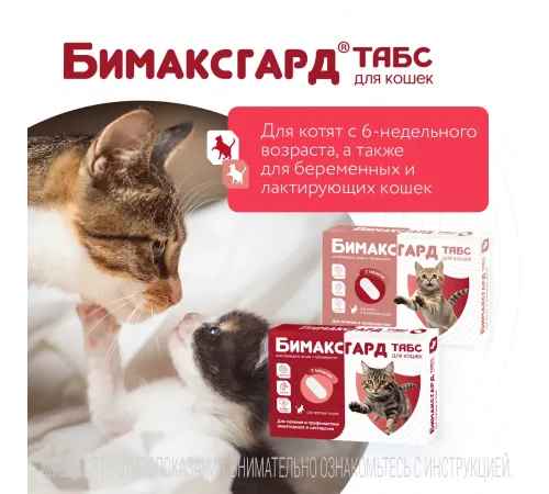 Бимаксгард ТАБС для котят и маленьких кошек, 1 таб