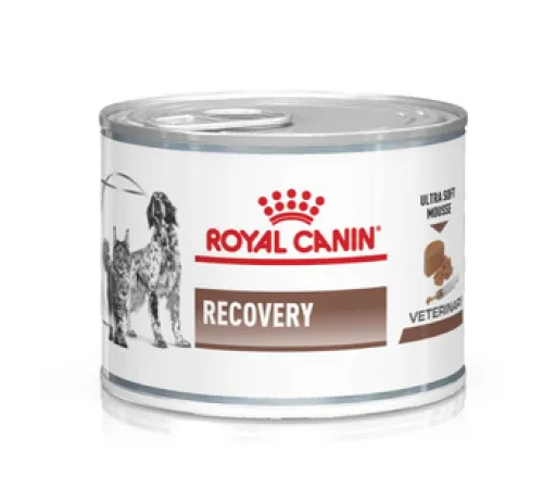Royal Canin Recovery (мусс), 195 г