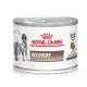 Royal Canin Recovery (мусс), 195 г