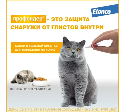 Elanco Профендер для кошек от 5 до 8 кг, 1 пипетка