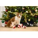 Beeztees Игрушка для кошек Воблер рождественский, 10 см
