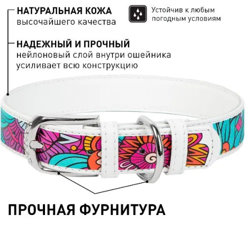 Collar Ошейник 