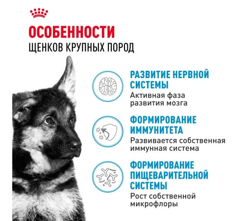 Royal Canin Maxi Puppy, 3 кг
