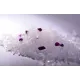 Clean Cat Наполнитель силикагелевый (Лаванда), 3,8 л