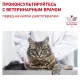 Royal Canin Gastrointestinal Fibre Response, 350 г