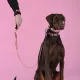 United Pets Поводок Complete me Forever, оранжевый с рисунком, 20 мм, 140 см