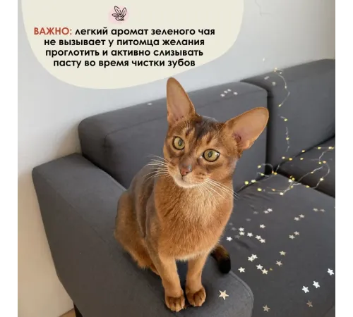 Muzzle Зубная паста с ароматом зеленого чая, 75 г