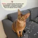 Muzzle Зубная паста с ароматом зеленого чая, 75 г