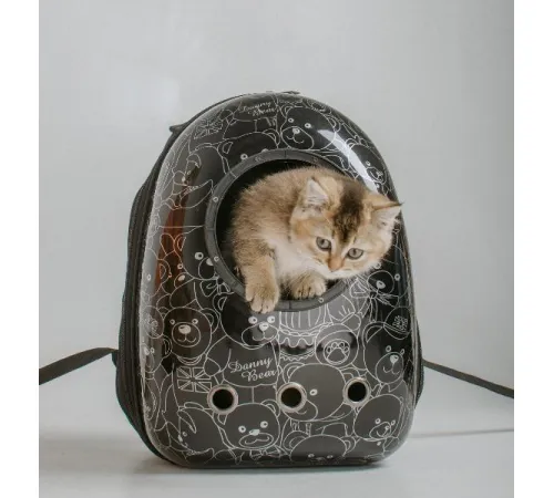 Catsy Рюкзак-переноска 