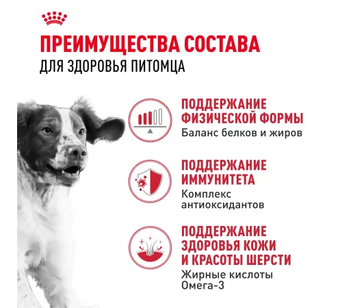 Royal Canin Medium Adult, 3 кг