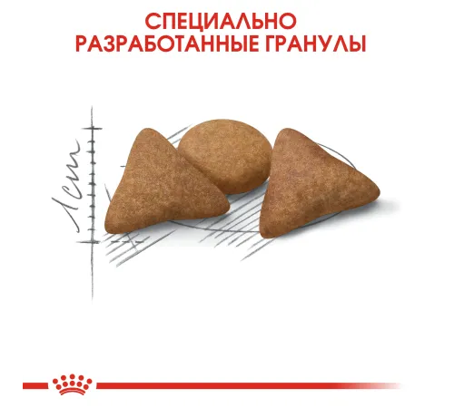 Royal Canin Indoor Appetite Control, 400 г