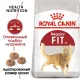 Royal Canin Fit 32, 200 г