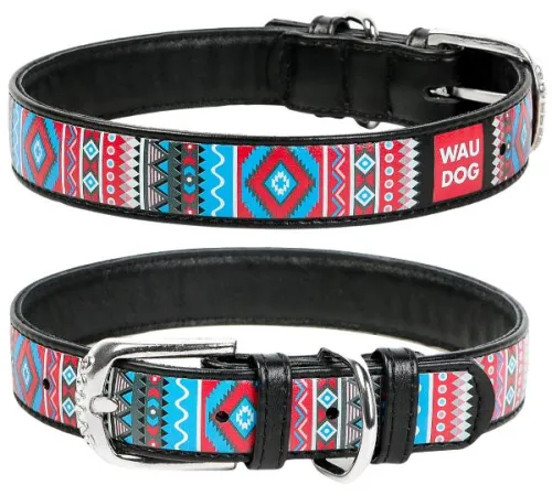 Collar Ошейник 