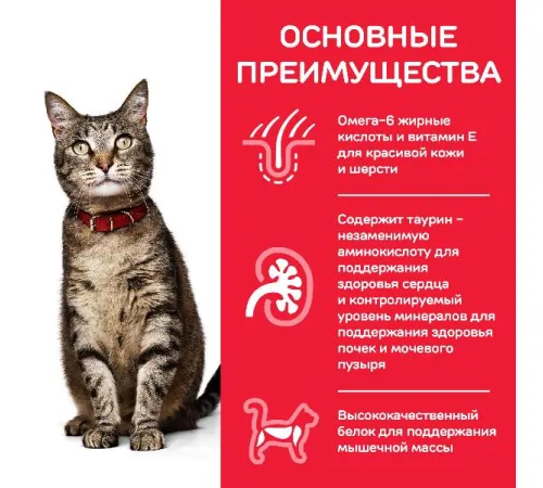 Hill's Science Plan Влажный корм для кошек для поддержания жизненной энергии и иммунитета (индейка) 85 г х 10 шт