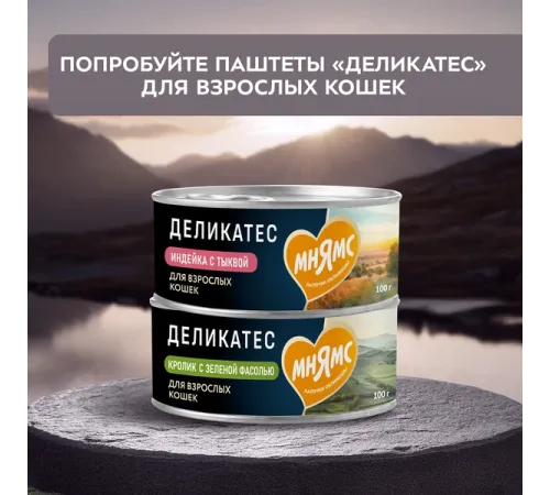 Мнямс Деликатес Куриное филе с говядиной в соусе для кошек, 50 г