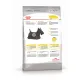 Royal Canin Mini Dermacomfort, 1 кг