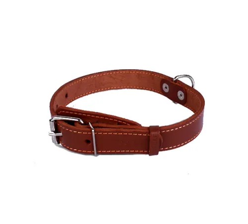 Collar одинарный MBrown 35 мм, 48-63 см